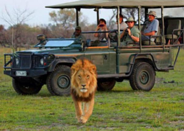 Safari Tour ∣ Сафари аялал