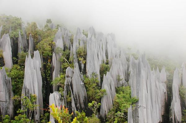 Gunung Mulu National Park