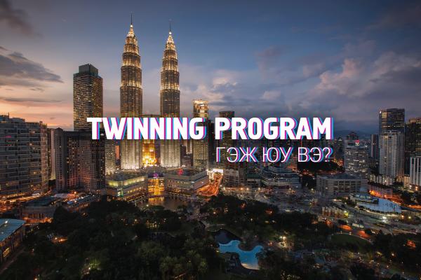 Twinning program гэж юу вэ?
